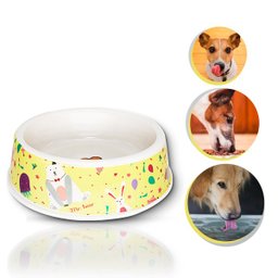 lancheira pet comedouro bebedouro elevado porta ração cachorro cães gato vasilha pote Animais Sortid - 1