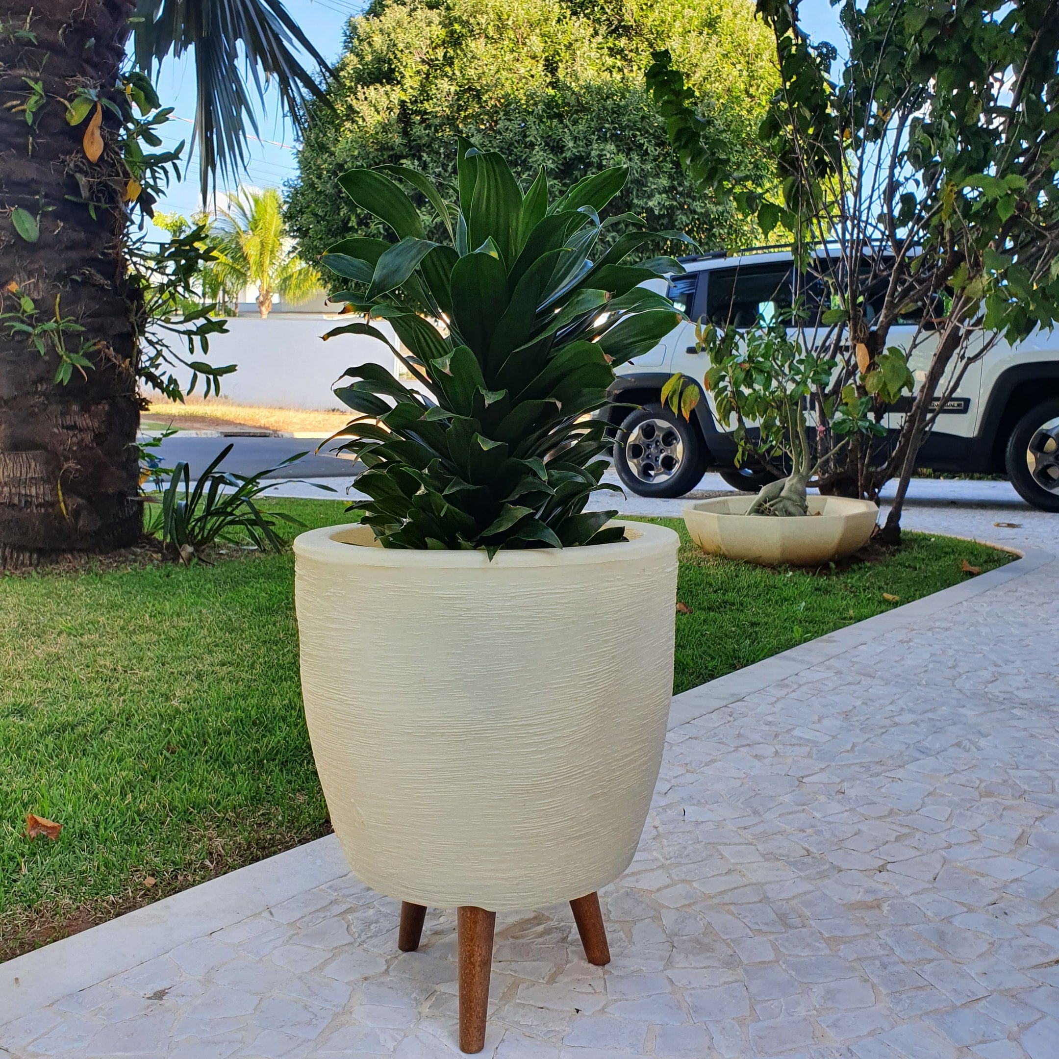 Vaso Planta Sala 40cm com Tripé de Madeira Decorativo Bege