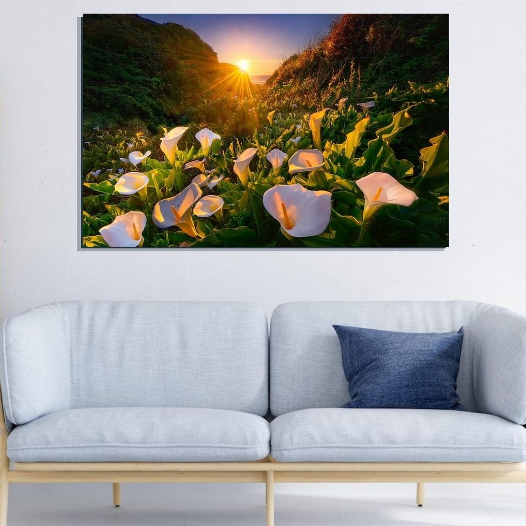 Quadro Decorativo - Campo de Lirios - Copos de Leite - 110x70cm - 5