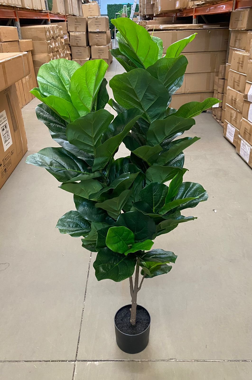 Ficus Lyrata Artificial Planta Permanente Decoração Sala 1.20cm - 5