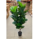Ver imagem 5 de Ficus Lyrata Artificial Planta Permanente Decoração Sala 1.20cm