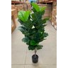 Ficus Lyrata Artificial Planta Permanente Decoração Sala 1.20cm - 5