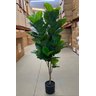 Ficus Lyrata Artificial Planta Permanente Decoração Sala 1.20cm - 7