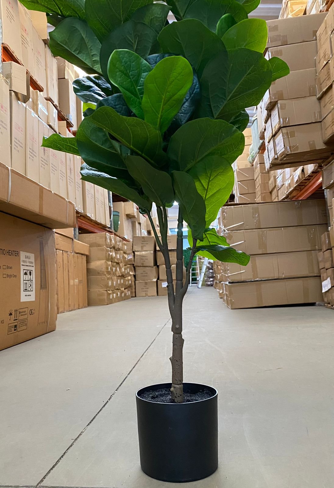 Ficus Lyrata Artificial Planta Permanente Decoração Sala 1.20cm - 8