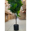 Ver mais imagens de Ficus Lyrata Artificial Planta Permanente Decoração Sala 1.20cm