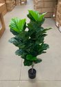 Ver imagem 6 de Ficus Lyrata Artificial Planta Permanente Decoração Sala 1.20cm