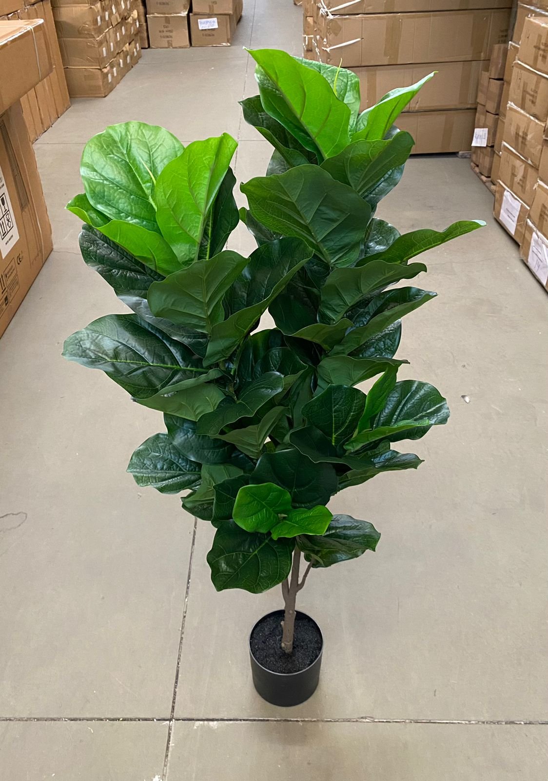 Ficus Lyrata Artificial Planta Permanente Decoração Sala 1.20cm - 12