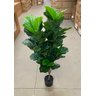 Ficus Lyrata Artificial Planta Permanente Decoração Sala 1.20cm - 12