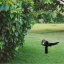 Ver imagem 3 de Refletor Solar Luminária Jardim Spot Luz Cor Verde Super Led