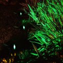 Ver imagem 2 de Refletor Solar Luminária Jardim Spot Luz Cor Verde Super Led