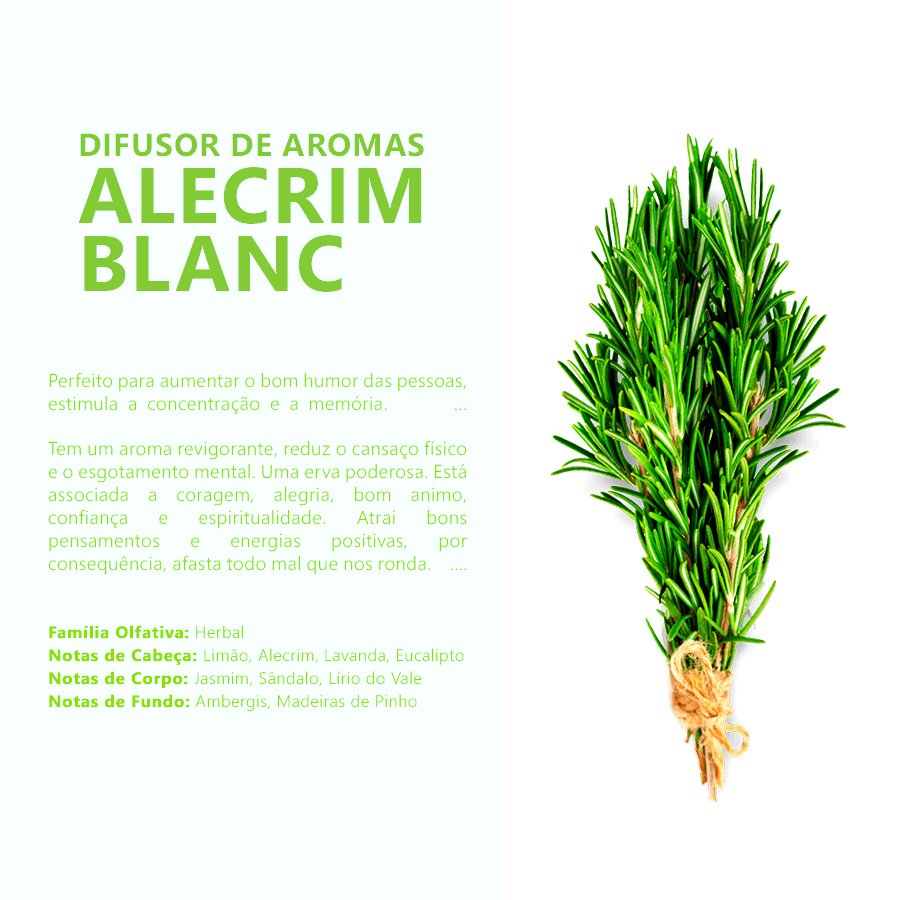 Difusor de Aroma 100ml Alecrim Blanc - 8