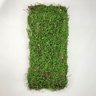 Placa De Grama Paisagismo 90x40cm Jardim Vertical Artificial - 2