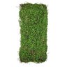 Placa De Grama Paisagismo 90x40cm Jardim Vertical Artificial - 1
