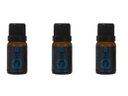 Ver imagem 1 de Kit 3 Essências Dubai/Lírio Gold - 10Ml Via Aroma