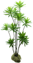 Ver imagem 1 de Planta Dracena 150cm Verde Toque Real para Vaso e Decoração