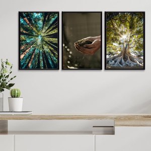 Kit 3 Quadros Decorativos Mãe Natureza 33x24cm - com Vidro:madeira Branca