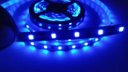 Ver imagem 3 de Fita LED 2835 Azul 5 Metros 300 Leds 12V Ip20 sem Silicone + Fonte