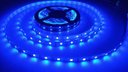Ver imagem 2 de Fita LED 2835 Azul 5 Metros 300 Leds 12V Ip20 sem Silicone + Fonte