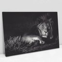 Ver imagem 1 de Quadro Decorativo em Canvas Leão Preto e Branco - Chassi - 90 x 60cm