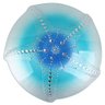 Bowl Estrela do Mar Deep Sea em Vidro - 37x8cm - 1