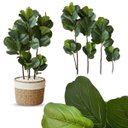 Ver imagem 4 de 2 Árvores Ficus Lyrata Artificial Charme e Frescor Permanente para Decoração Residencial e Comercial