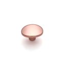 Ver imagem 3 de Puxador Beetle Vec Cobre Ponto Zen