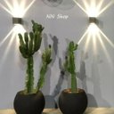 Ver imagem 5 de Arandela Externa Interna com Efeito 10 Fachos de Luz P/ Parede Muro