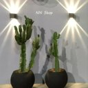 Ver imagem 5 de Arandela Externa Interna Com Efeito 10 Fachos de Luz P/ Parede Muro