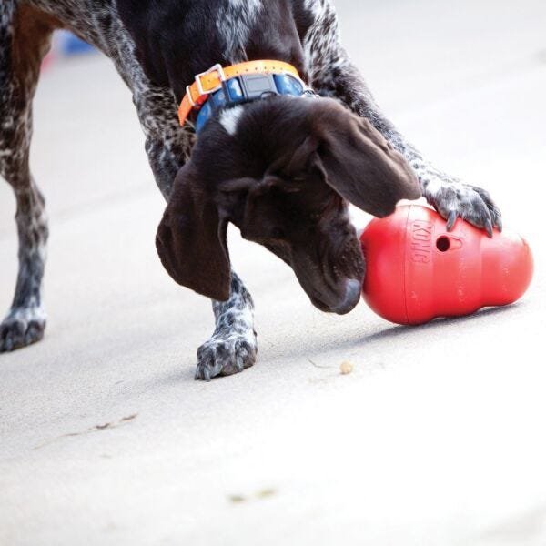 BRINQUEDO KONG WOBBLER JOÃO BOBO PARA CÃES - TAMANHO PEQUENO - 3