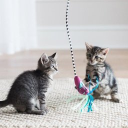 Varinha Fatcat Worm Wand Minhoca com Catnip para Gatos - 4