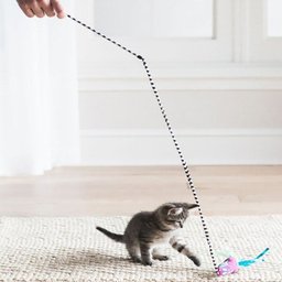 Varinha Fatcat Worm Wand Minhoca com Catnip para Gatos - 5