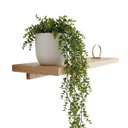 Ver imagem 1 de Pendente de Eucalipto Artificial Realista 87 cm Folhagem Permanente para Decoração