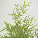 Ver imagem 3 de Árvore Artificial Bambu Verde 1,5m