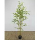 Ver imagem 4 de Árvore Artificial Bambu Verde 1,5m