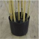 Ver imagem 5 de Árvore Artificial Bambu Verde 1,5m