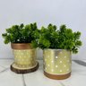 Conjunto vaso de cerâmica artesanal com estampa geométrica - 4