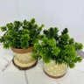 Conjunto vaso de cerâmica artesanal com estampa geométrica - 3