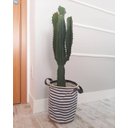 Ver imagem 4 de Roda Meio Boiserie de EVA Flexível Autocolante 2,5cm de altura x 1cm espessura Rm2000 (10 metros)