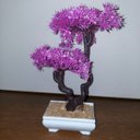 Ver imagem 1 de Bonsai Artificial Etéreo Starway Lilás Vaso Branco
