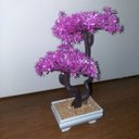 Ver imagem 7 de Bonsai Artificial Etéreo Starway Lilás Vaso Branco