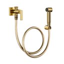 Ver imagem 1 de Ducha Higiênica Docol Docolstillo 823743 com Flexível de 1,20m Ouro Polido