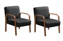 Ver imagem 1 de Kit 2 Poltronas Anita Cor:Veludo Preto 410
