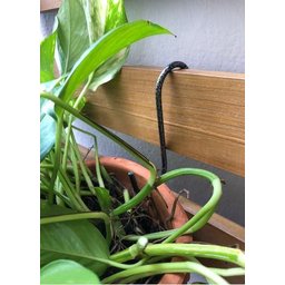 Gancho Pequeno P/ Vaso de Jardim Vertical 11cm - 5 Peças - 5