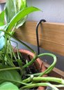 Ver imagem 5 de Gancho Pequeno P/ Vaso de Jardim Vertical 11cm - 5 Peças