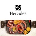 Ver imagem 3 de Grill Duplo Hercules com Alça Marrom / Pa300