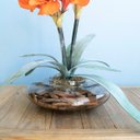Ver imagem 4 de Arranjos de Flores Artificiais Amarílis Laranja no Vaso Transparente | Linha Permanente Formosinha
