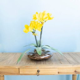 Arranjos de Flores Artificiais Amarílis Amarelo no Vaso Transparente | Linha Permanente Formosinha - 4