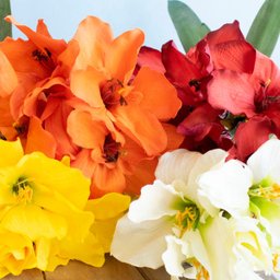 Arranjos de Flores Artificiais Amarílis Amarelo no Vaso Transparente | Linha Permanente Formosinha - 5