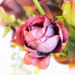 Arranjo de Rosas Marsala Artificiais no Vaso Trouxinha Âmbar | Linha Permanente Formosinha - 6