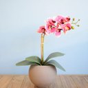 Ver imagem 1 de Arranjo de Orquídea Rosa Artificial no Vaso de Vidro Fendi Fosco | Linha permanente Formosinha